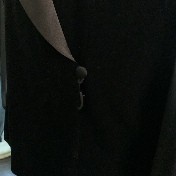 Velveteen Sheer top - Picture 4 of 4